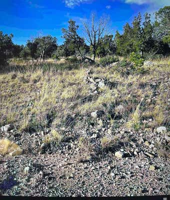 7 BACON DR, TIMBERON, NM 88350 - Image 1