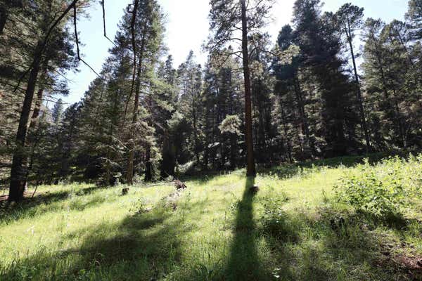 000 BRANDING IRON, CLOUDCROFT, NM 88317 - Image 1