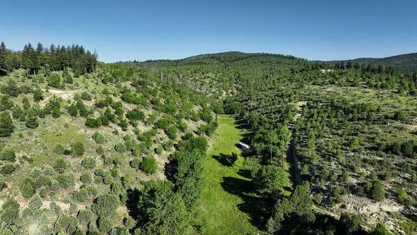 22 THREE MILE CANYON RD, MAYHILL, NM 88339, photo 2 of 21