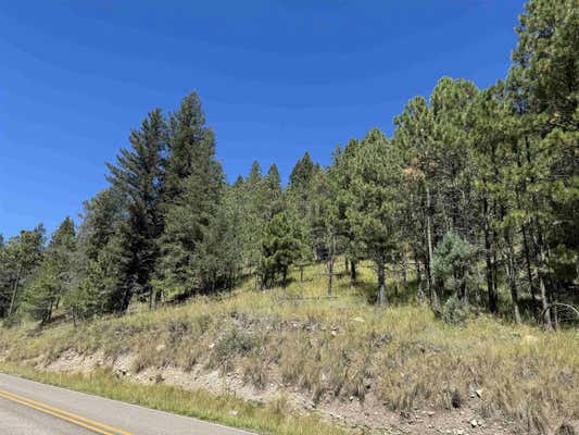 2 BLACK FOREST DR, CLOUDCROFT, NM 88317 - Image 1