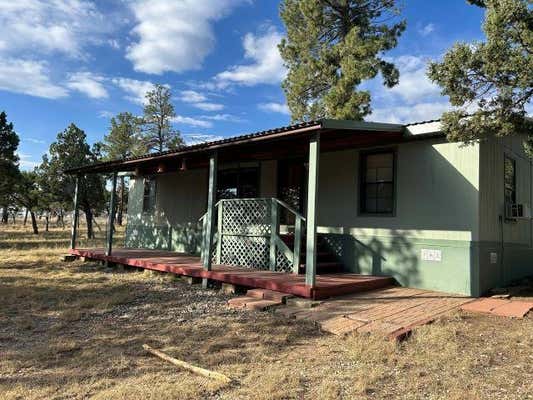 16 COSHACION DR, TIMBERON, NM 88350, photo 2 of 30