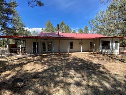 10 SURCINGLE AVE, TIMBERON, NM 88350, photo 4 of 38