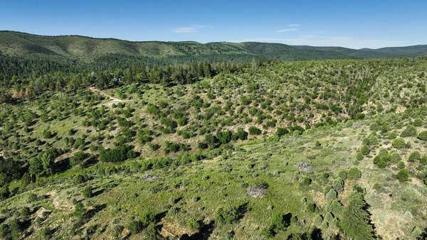 22 THREE MILE CANYON RD, MAYHILL, NM 88339, photo 3 of 21