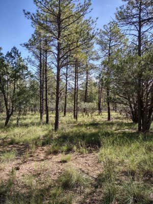 197 HOMEWOOD DR, TIMBERON, NM 88350 - Image 1