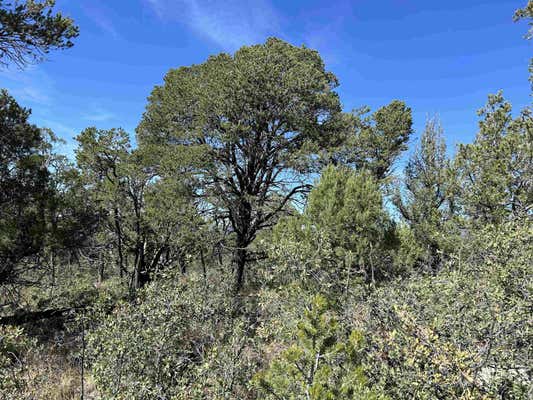 GENTLE BREEZE LN, TIMBERON, NM 88350 - Image 1