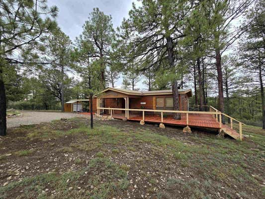 20 JOE FETTERS LN, TIMBERON, NM 88350 - Image 1