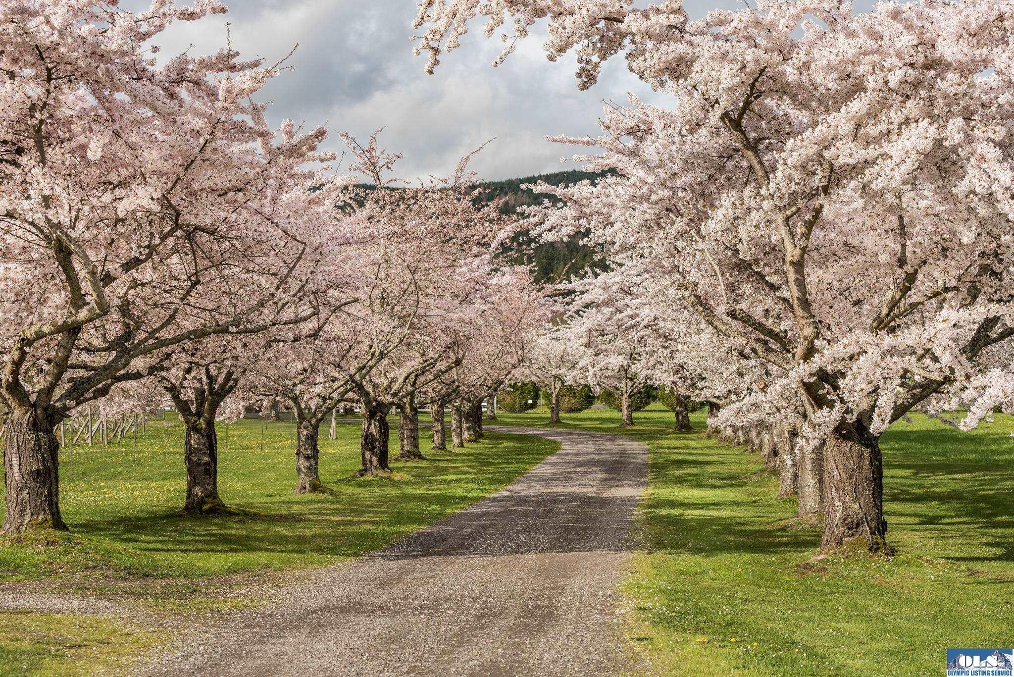 Sequim, Washington, 98382, United States, ,5 BathroomsBathrooms,Residential,Active,1790882