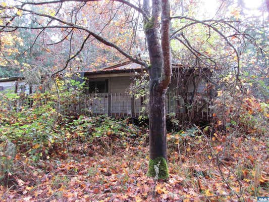 223 CASSIDY RD, SEQUIM, WA 98382 - Image 1