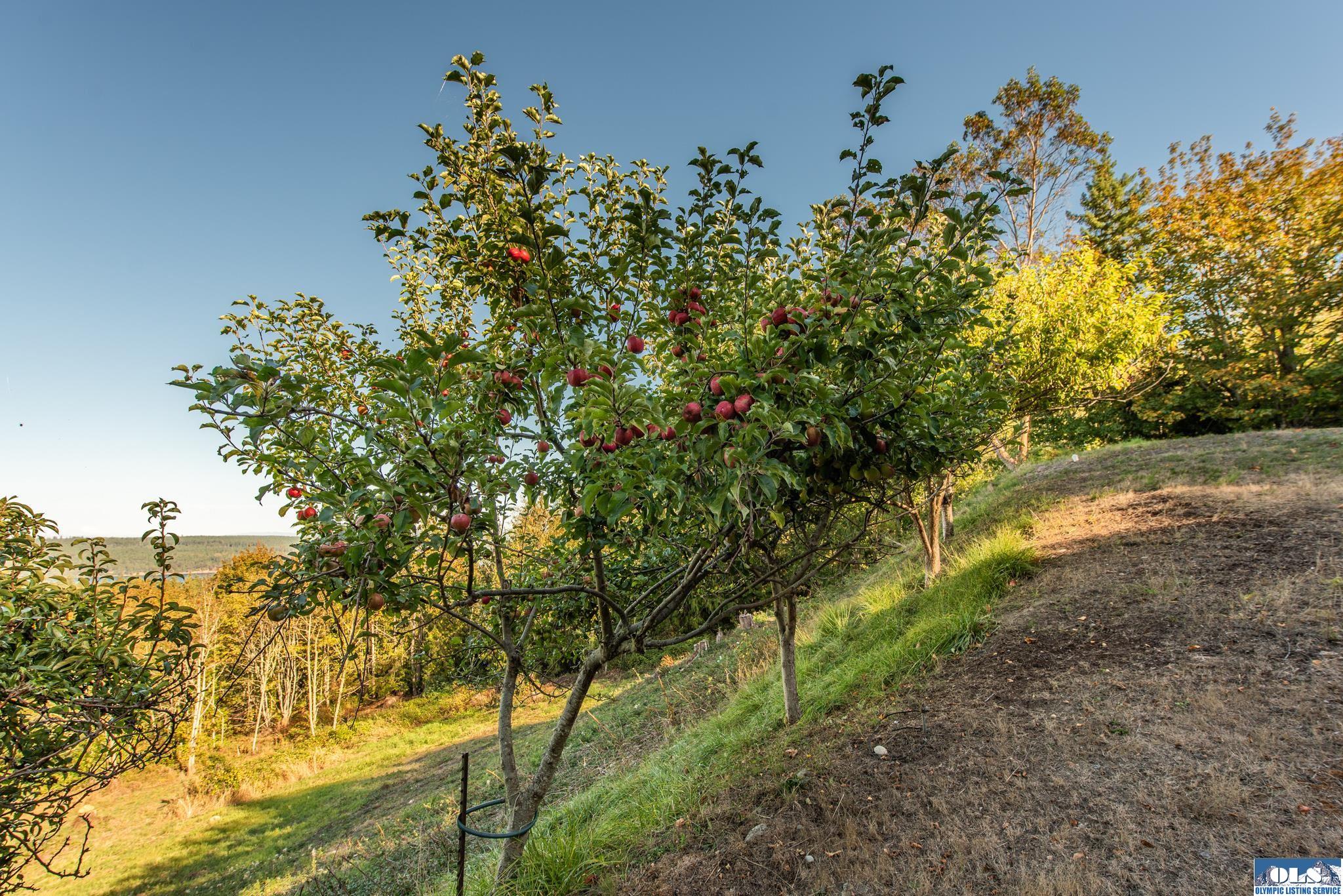 Sequim, Washington, 98382, United States, 3 Bedrooms Bedrooms, ,3 BathroomsBathrooms,Residential,Active,1960163