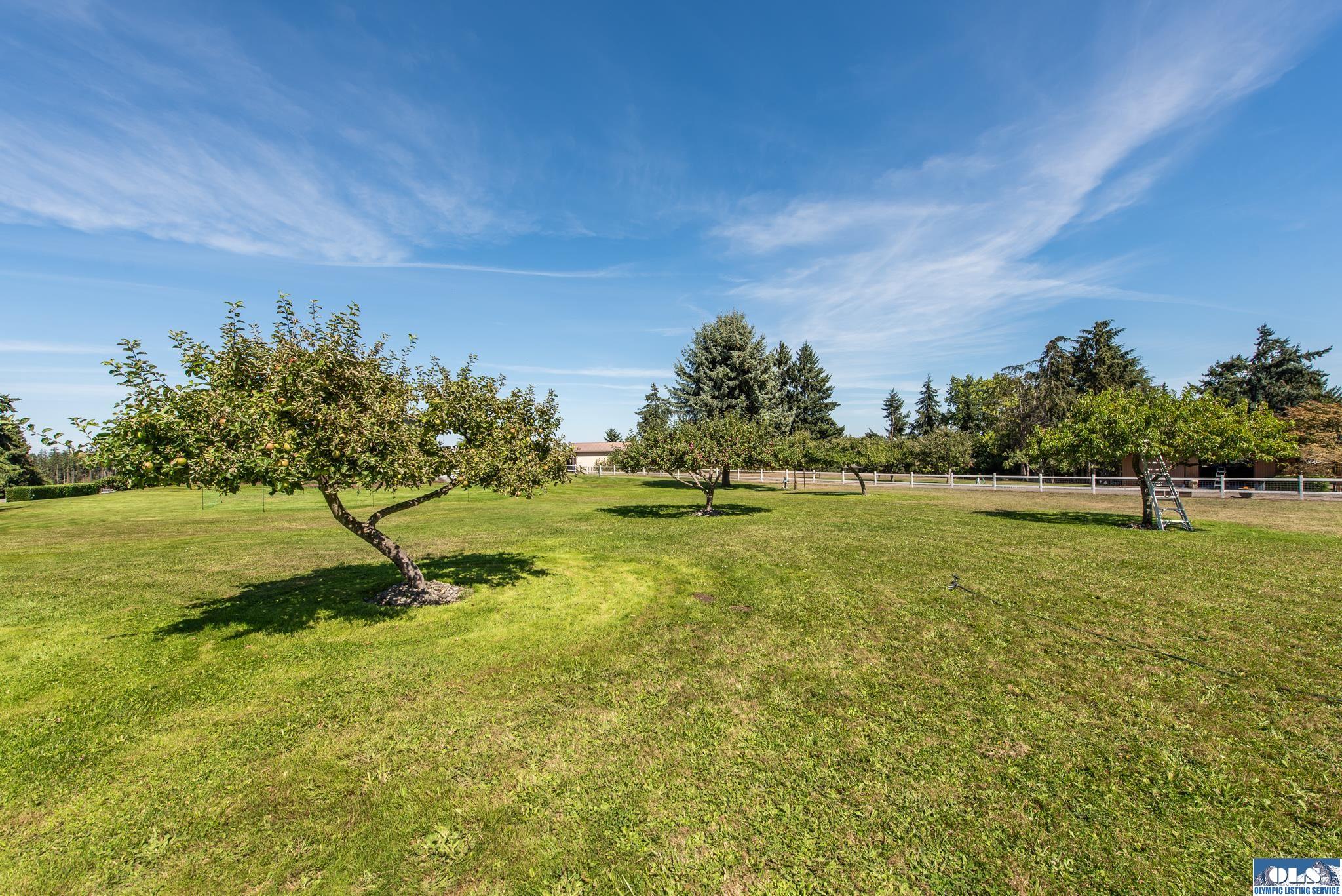 Sequim, Washington, 98382, United States, 3 Bedrooms Bedrooms, ,3 BathroomsBathrooms,Residential,Active,1936602