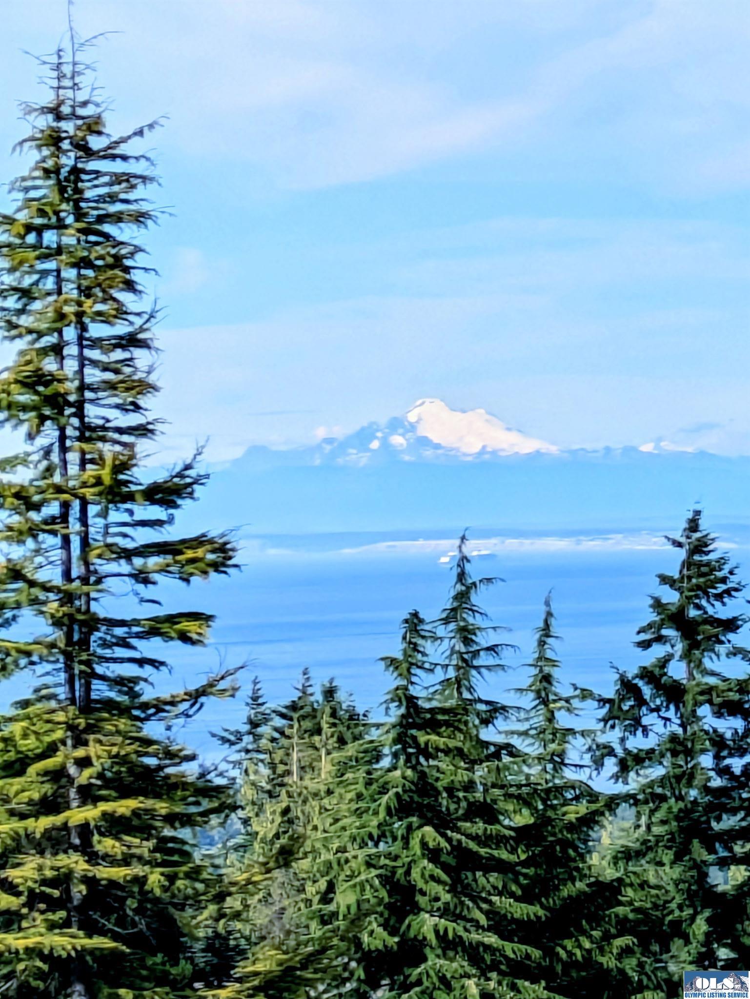 Sequim, Washington, 98382, United States, 3 Bedrooms Bedrooms, ,3 BathroomsBathrooms,Residential,Active,1967309