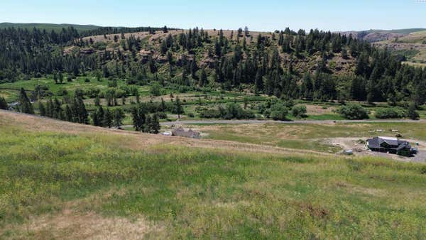 LOT 32 RED TAIL RIDGE, COLFAX, WA 99111 - Image 1