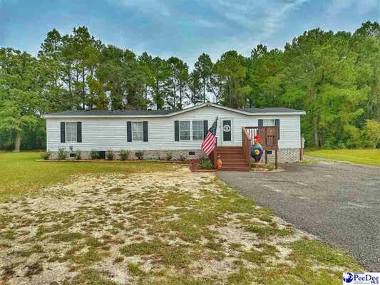 1074 PEE DEE CHURCH RD, DILLON, SC 29536 - Image 1