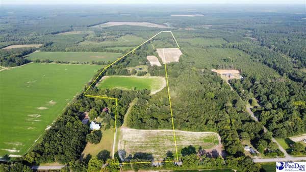 TBD SOCIIETY HILL RD. 58+/- ACRES, DARLINGTON, SC 29540 - Image 1