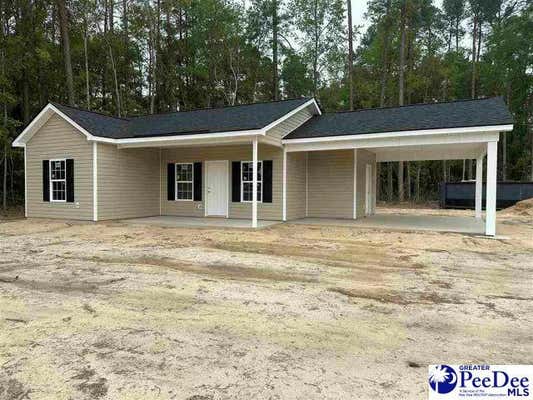 910 N 8TH AVE, DILLON, SC 29536 - Image 1