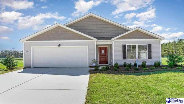 172 COUNTRY GROVE WAY, GALIVANTS FERRY, SC 29544 - Image 1