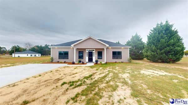 1419 E HOME AVE, HARTSVILLE, SC 29550 - Image 1