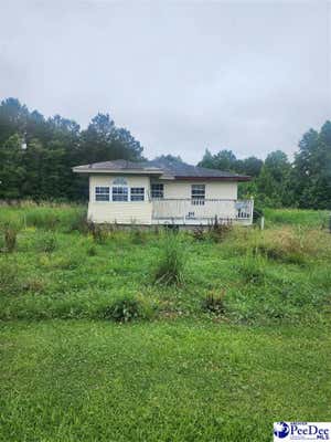 2149 OLIVE DR, GREEN SEA, SC 29545 - Image 1