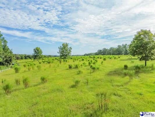 US HWY 1, CHERAW, SC 29520 - Image 1