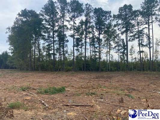 LOT 1-D DANIELS LANE, BENNETTSVILLE, SC 29512, photo 2 of 25