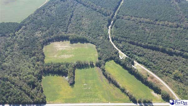 LOT A DALCHO RD, LATTA, SC 29565 - Image 1