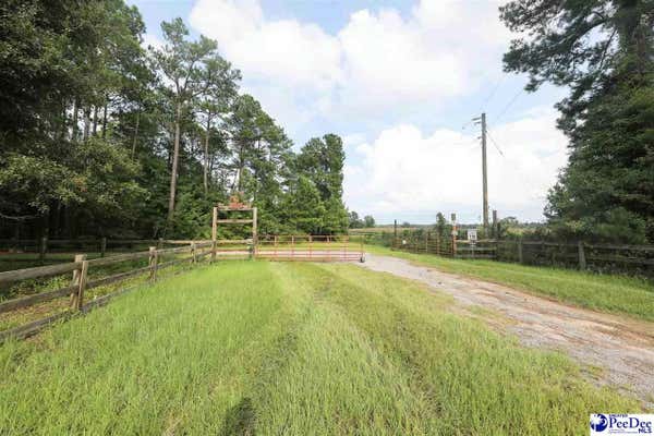 48 ACRES TURNING POINT ROAD, DARLINGTON, SC 29532 - Image 1