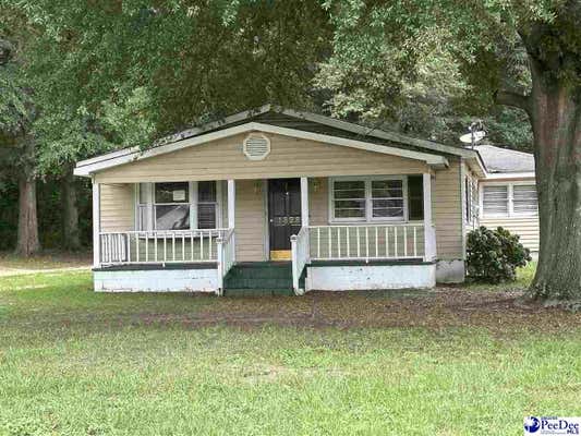 1328 MOUNT SINAI DR, DARLINGTON, SC 29540 - Image 1