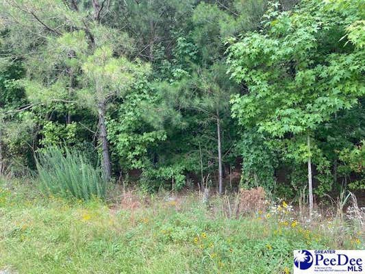 LOT 1-D DANIELS LANE, BENNETTSVILLE, SC 29512, photo 5 of 25