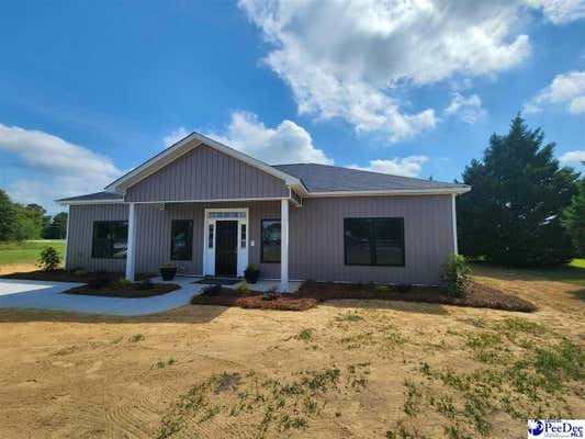 1419 E HOME AVE, HARTSVILLE, SC 29550 - Image 1