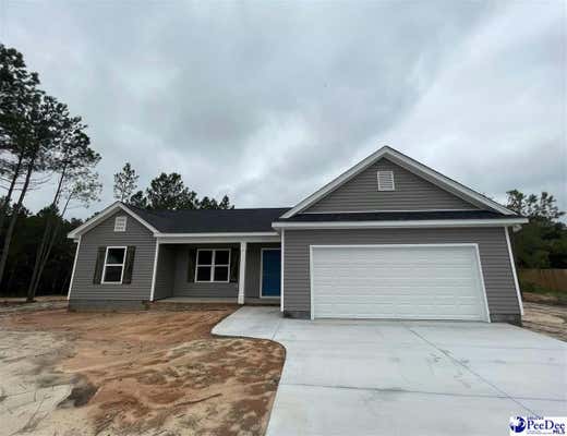 6688 GEORGE COKER LN, CHERAW, SC 29520 - Image 1