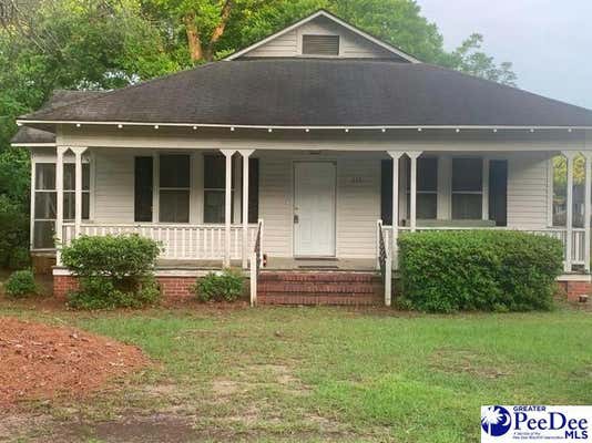 313 ELK ST, BISHOPVILLE, SC 29010 - Image 1