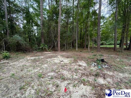 LOT 25 WILSON STREET, SOCIETY HILL, SC 29593 - Image 1