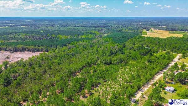 TBD POPLAR KNOB LANE, MOUNT CROGHAN, SC 29727, photo 4 of 10