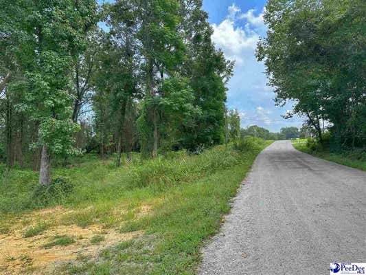 LOT 53 & 54 MCLAURIN LAKE CIRCLE, DILLON, SC 29536, photo 5 of 5