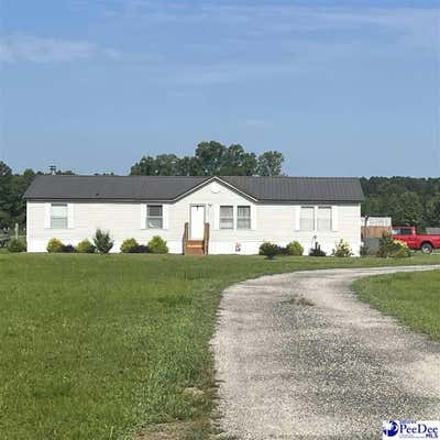 1619 GRAIN BIN RD, LAKE VIEW, SC 29563 - Image 1