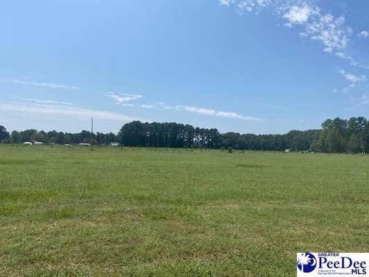 TBD LOT 45 SOUTHERN DRIVE, LATTA, SC 29565 - Image 1