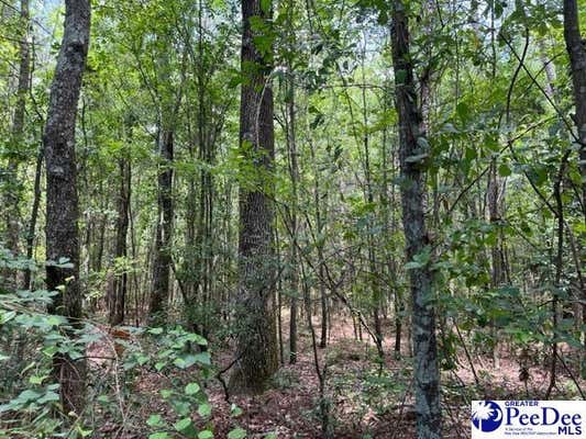 804 FLOYDS RD LOT 1, DARLINGTON, SC 29540 - Image 1