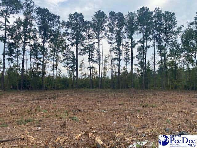 LOT 1-D DANIELS LANE, BENNETTSVILLE, SC 29512, photo 1 of 25