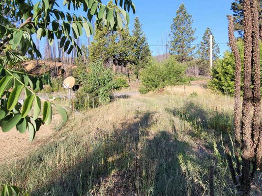 209 GREENVILLE WOLF CREEK RD, GREENVILLE, CA 95947, photo 4 of 8