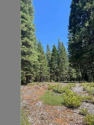 105 FOX HEAD DR, LAKE ALMANOR, CA 96137 - Image 1