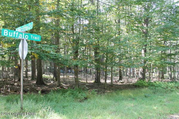 #8 BUFFALO TRAIL, POCONO LAKE, PA 18347 - Image 1