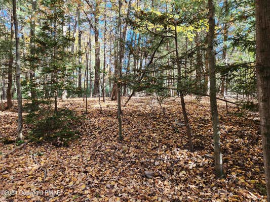 LOT 25 MONGUL CIRCLE, HENRYVILLE, PA 18332 - Image 1