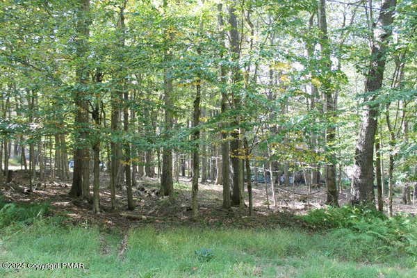 #8 BUFFALO TRAIL, POCONO LAKE, PA 18347, photo 3 of 6