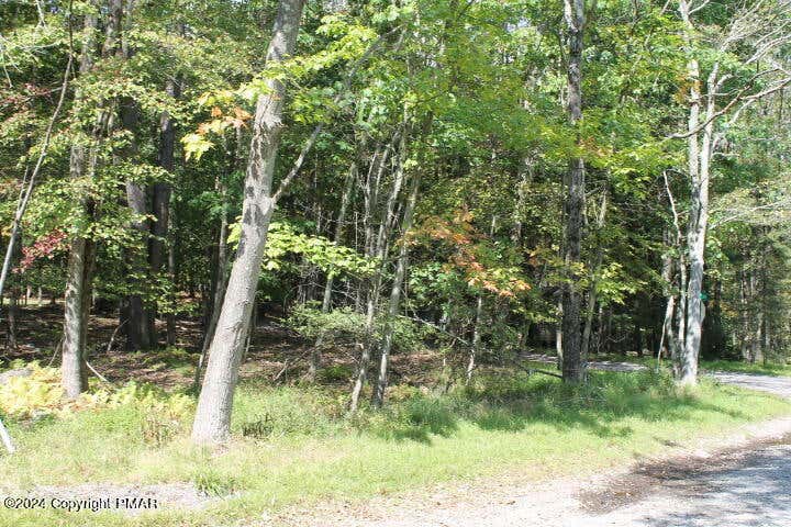 22 ONAWA TRL, POCONO LAKE, PA 18347, photo 1 of 5