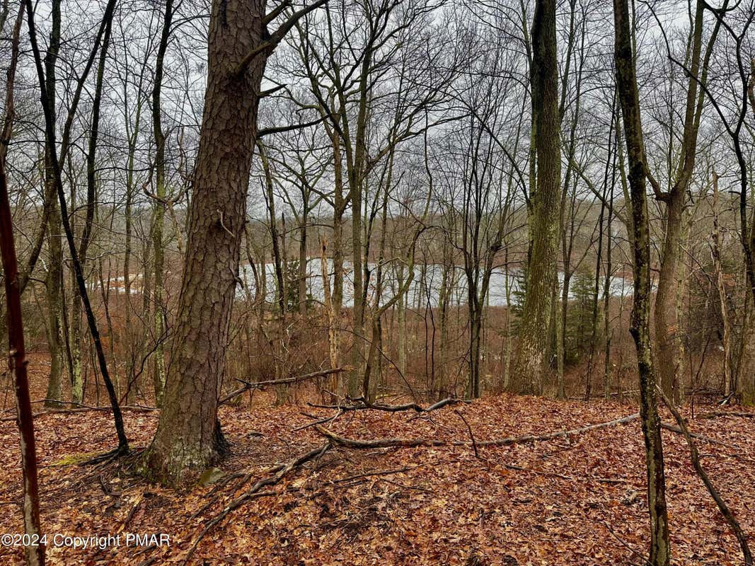 LOT 56 OAKENSHIELD DR, TAMIMENT, PA 18371, photo 1 of 9