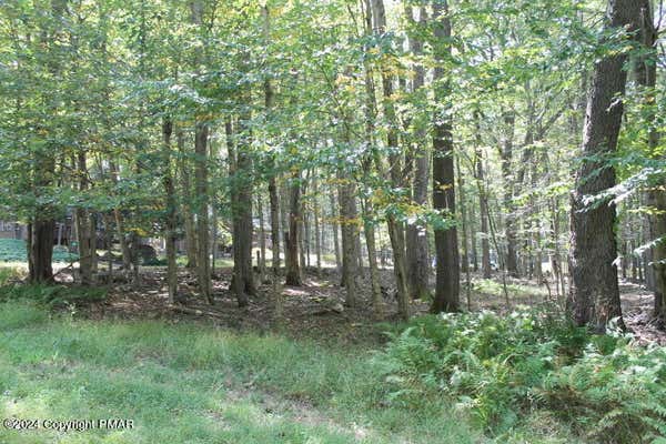 #8 BUFFALO TRAIL, POCONO LAKE, PA 18347, photo 4 of 6