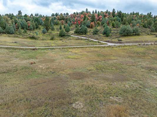 LOT 9R PHEASANT DRIVE, LAVA HOT SPRINGS, ID 83246 - Image 1