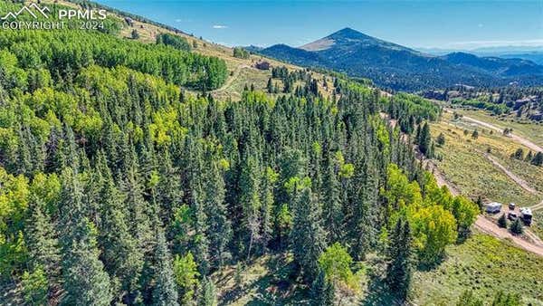 72 TROY DR, CRIPPLE CREEK, CO 80813 - Image 1