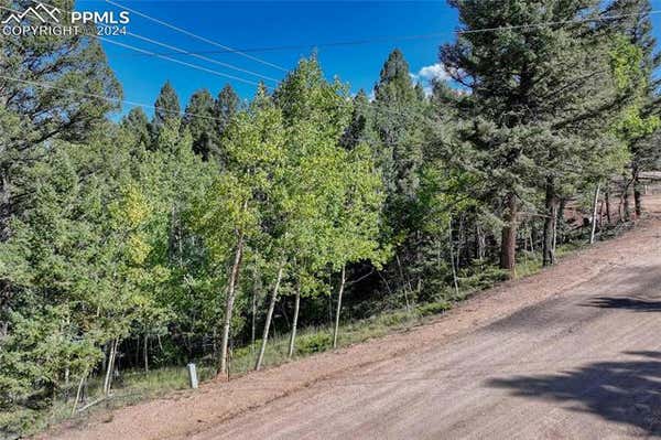 282 PINON LAKE DR, DIVIDE, CO 80814 - Image 1