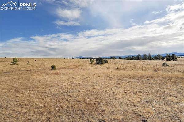 1204 HITCHING POST RD, TEXAS CREEK, CO 81223, photo 2 of 48